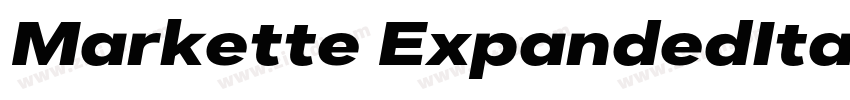 Markette ExpandedIta字体转换